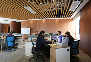 company culture